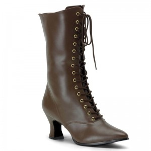 Pleaser Victorian-120 Women's Heels Boots Brown | NZ HEBLDM